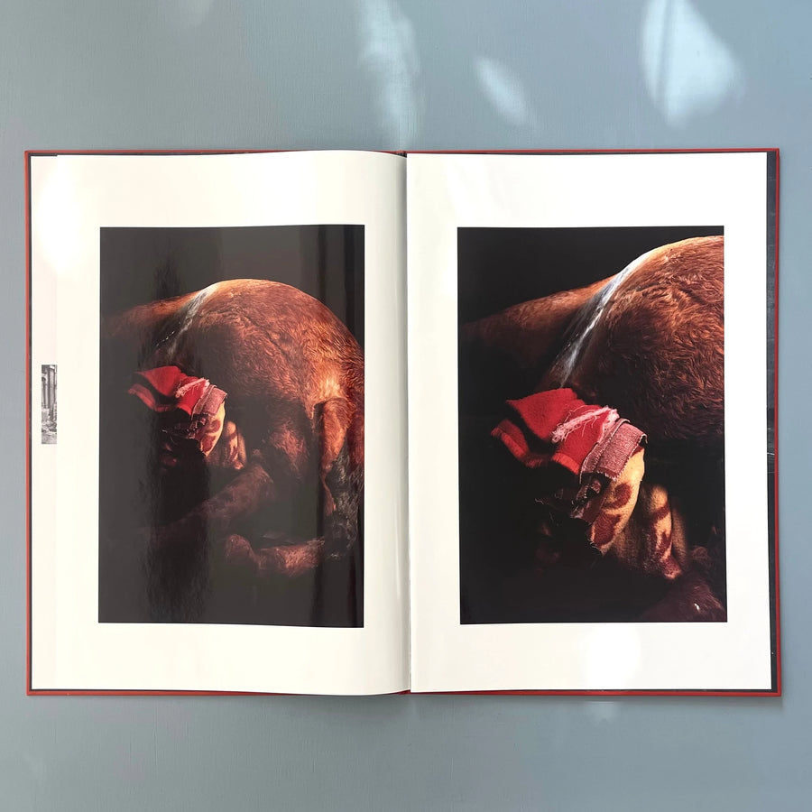 Berlinde De Bruyckere - In Flanders Fields - Flanders Fields Museum 2000 - Saint-Martin Bookshop