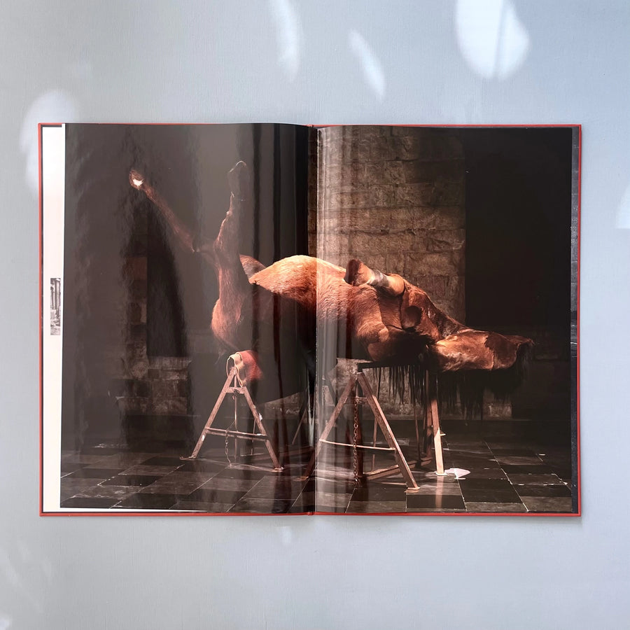 Berlinde De Bruyckere - In Flanders Fields - Flanders Fields Museum 2000 - Saint-Martin Bookshop