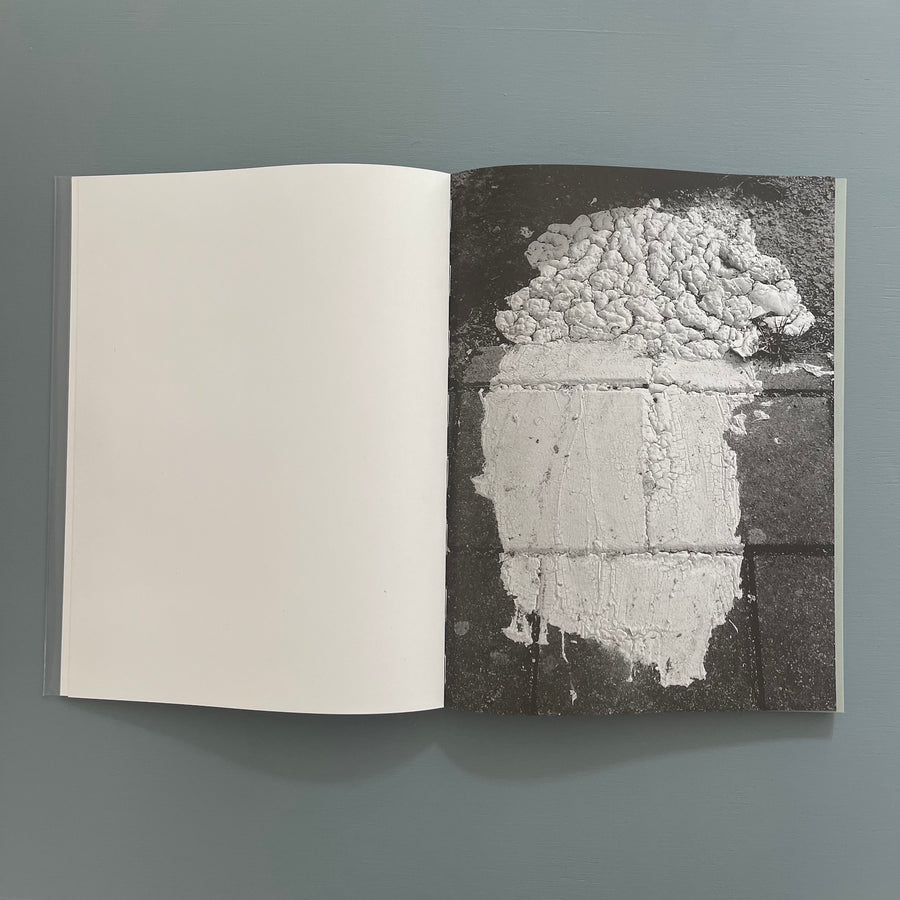 Bertrand Cavalier - Permanent Concern - Spector Books 2024 - Saint-Martin Bookshop