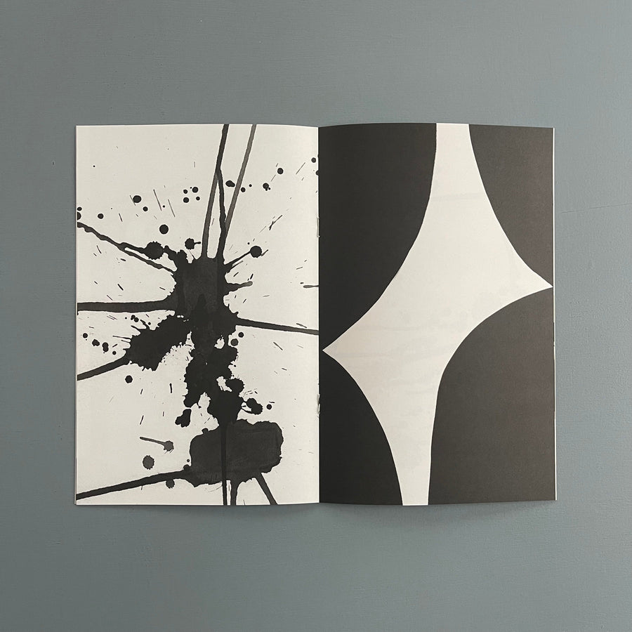 Black Noise tribute to Steve Parrino - JRP Ringier 2007 - Saint-Martin Bookshop