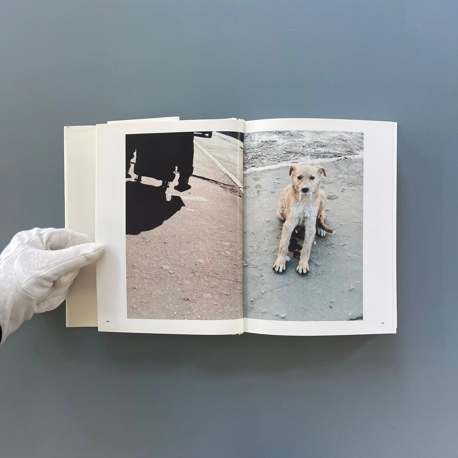 Boris Mikhailov - Case History - Scalo 1999