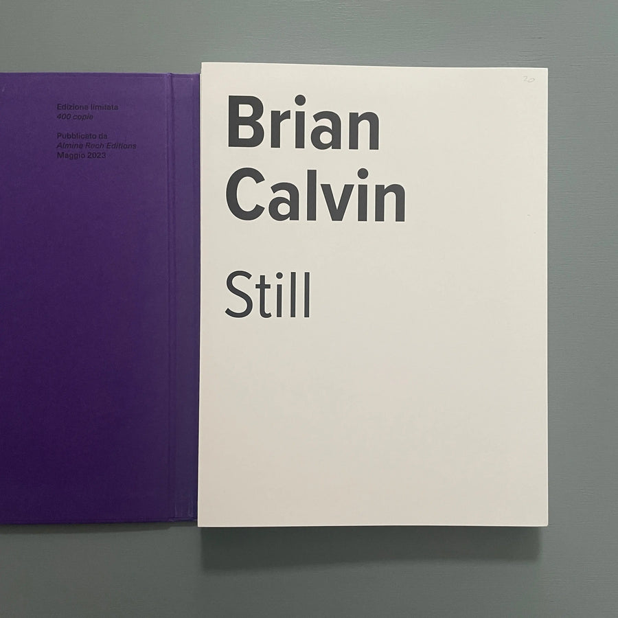 Brian Calvin - Leporello - Almine Rech Editions 2023