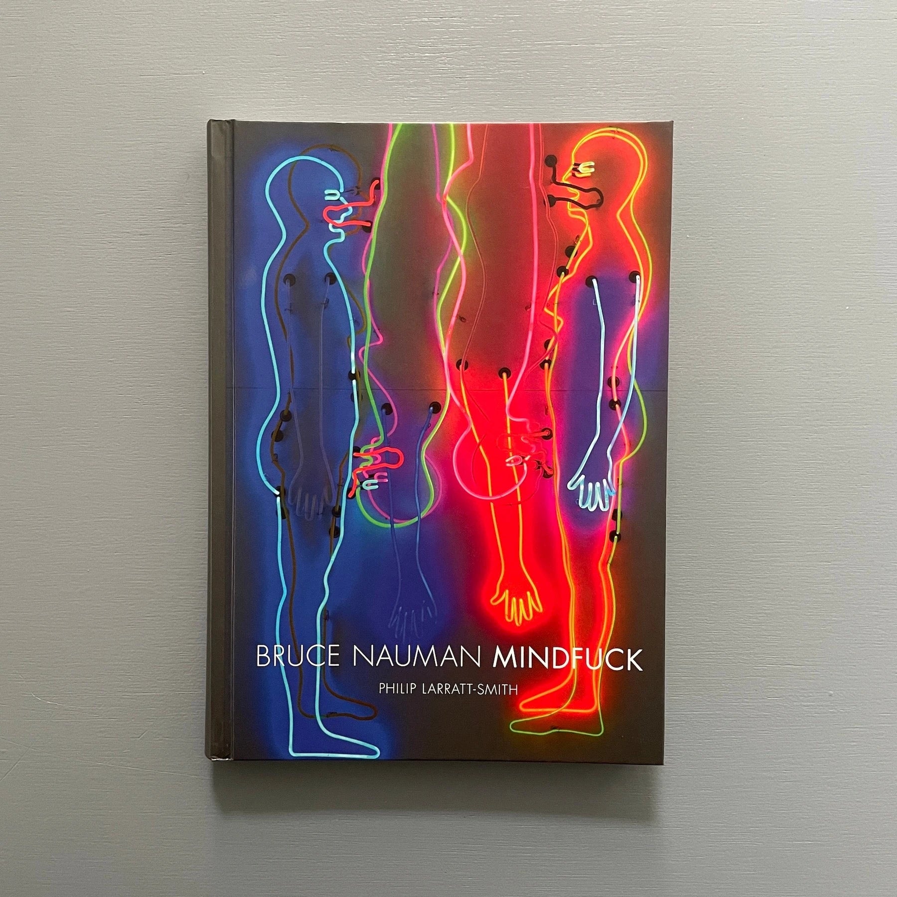 Bruce Nauman - Mindfuck - Hauser & Wirth 2013 - Saint-Martin