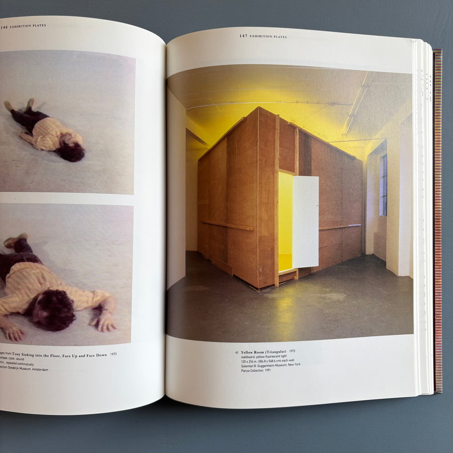 Bruce Nauman - Walker Art Center 1994