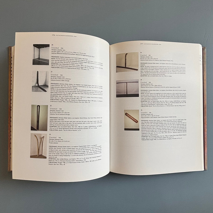 Bruce Nauman - Walker Art Center 1994