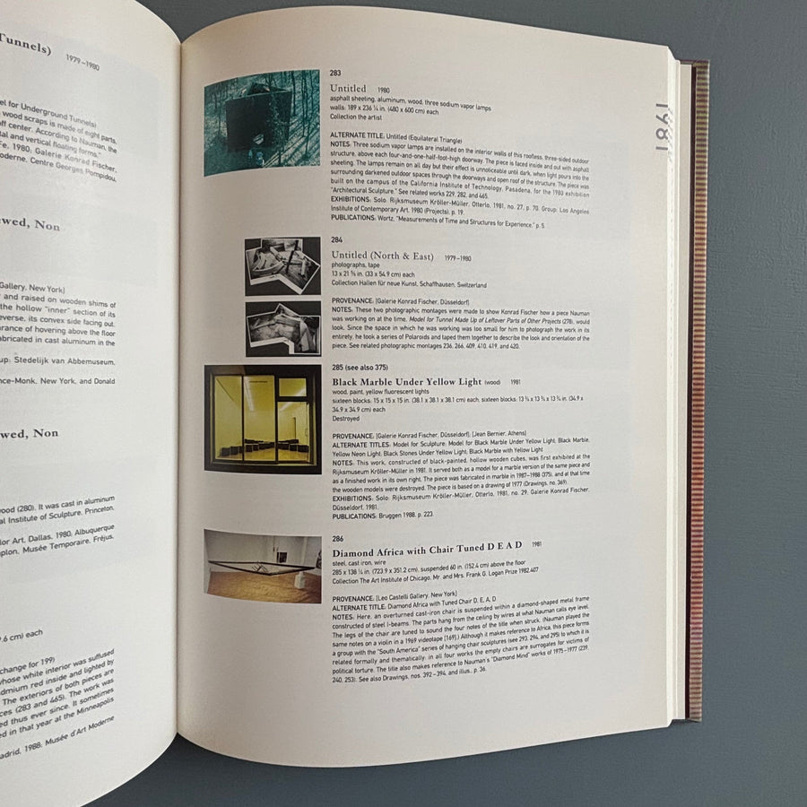 Bruce Nauman - Walker Art Center 1994