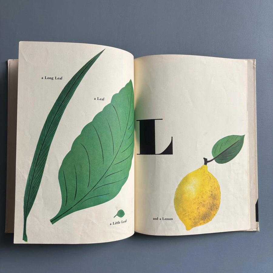 Bruno Munari - ABC - The World Publishing Company 1960 - Saint-Martin Bookshop