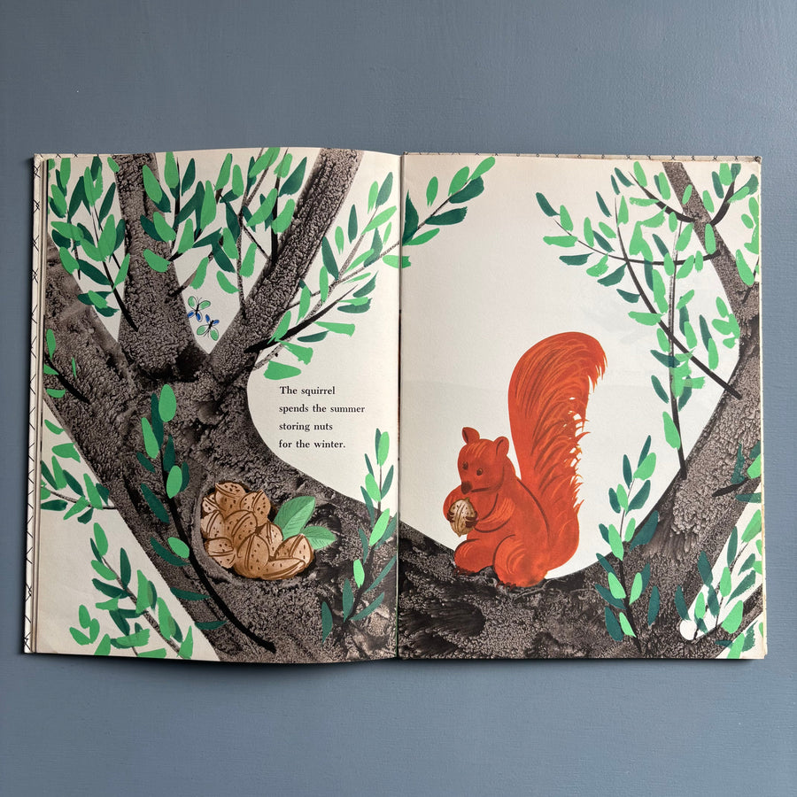 Bruno Munari - Zoo - The World Publishing Company 1963 - Saint-Martin Bookshop
