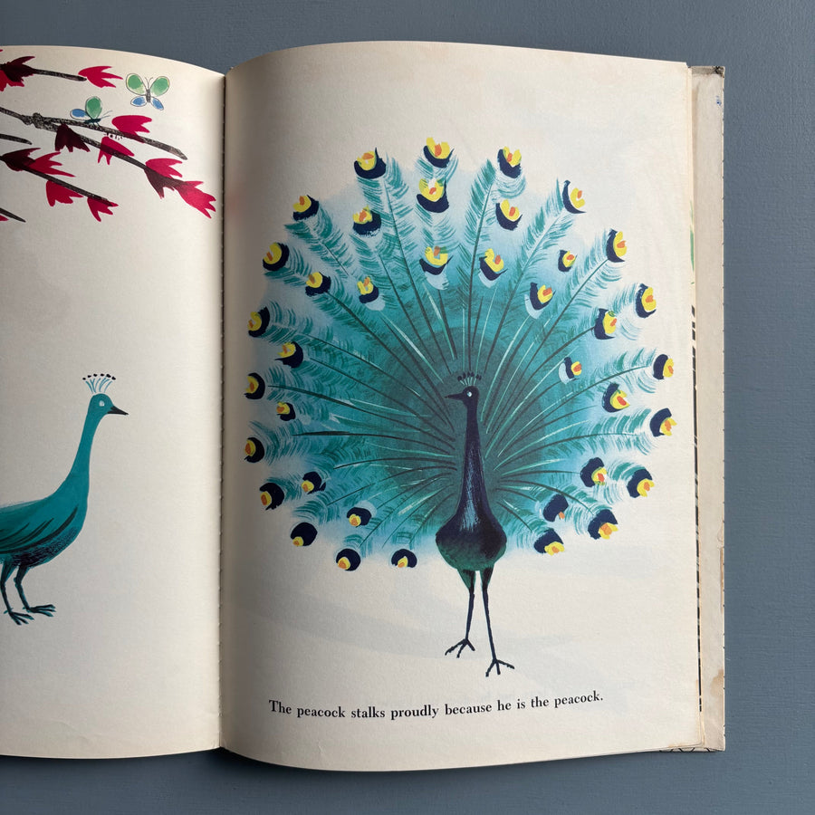 Bruno Munari - Zoo - The World Publishing Company 1963 - Saint-Martin Bookshop