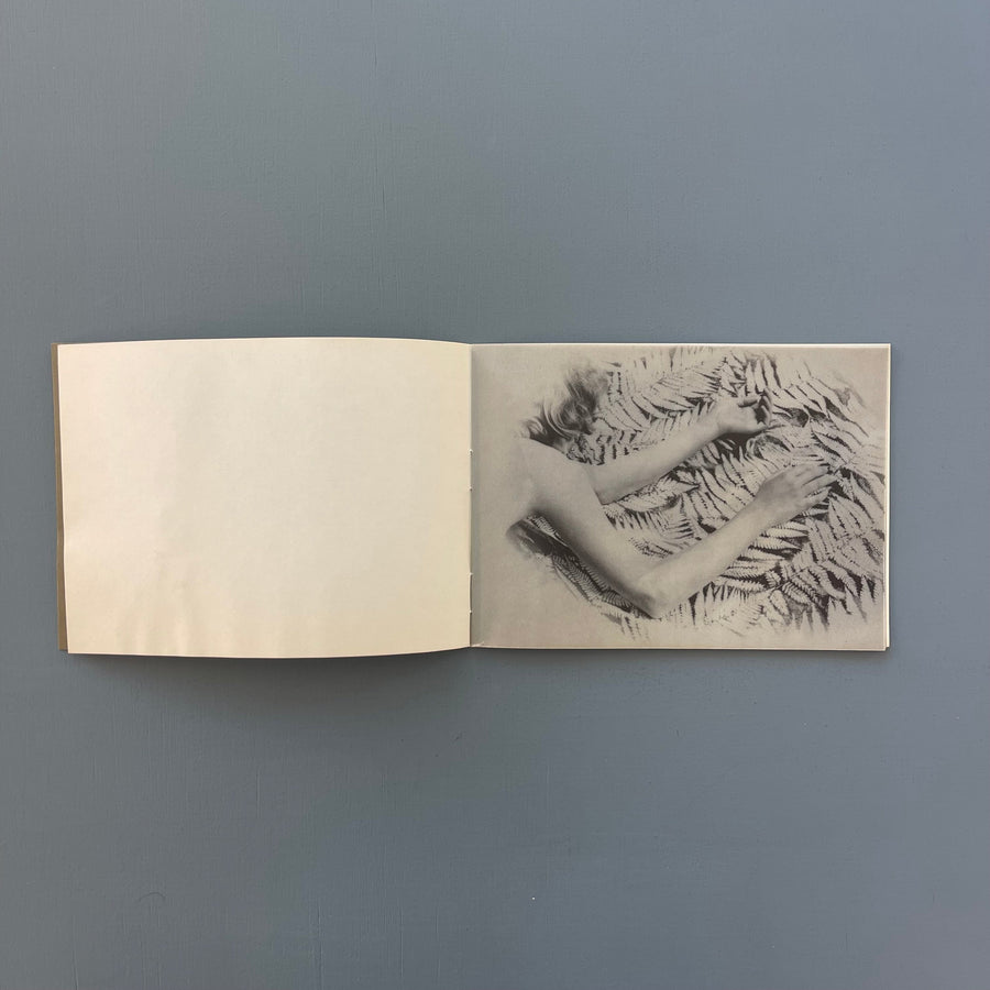 Ca va? Ca va: 4 constats islandais - Centre Pompidou 1977 - Saint-Martin Bookshop