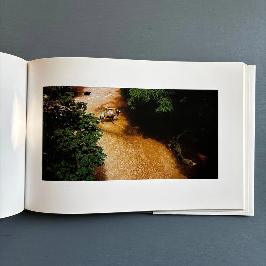 Candida Höfer - Zoologische Gärten - Schirmer/Mosel 1993 - Saint-Martin Bookshop