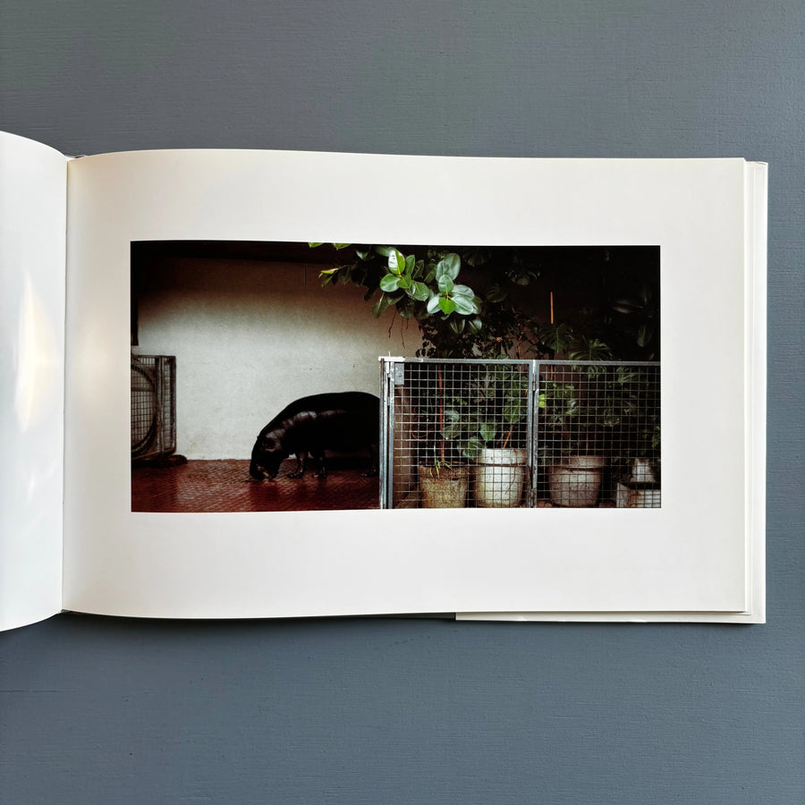 Candida Höfer - Zoologische Gärten - Schirmer/Mosel 1993 - Saint-Martin Bookshop