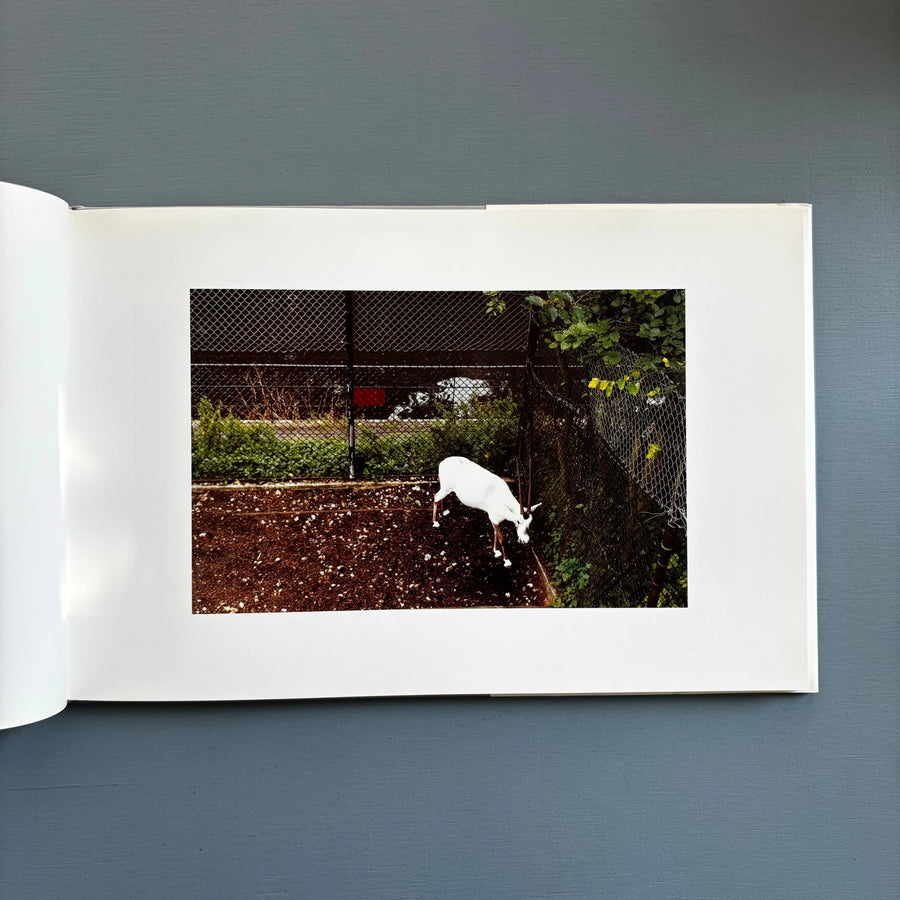 Candida Höfer - Zoologische Gärten - Schirmer/Mosel 1993 - Saint-Martin Bookshop