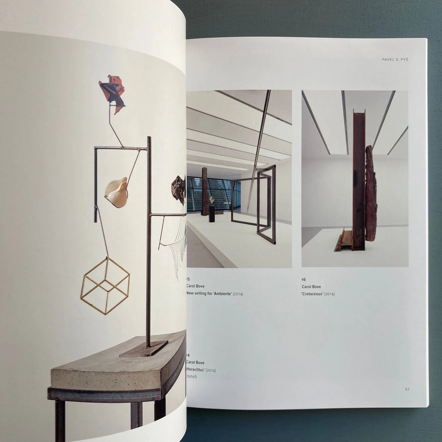 Carol Bove / Carlo Scarpa - Henry Moore Institute 2015 - Saint-Martin Bookshop