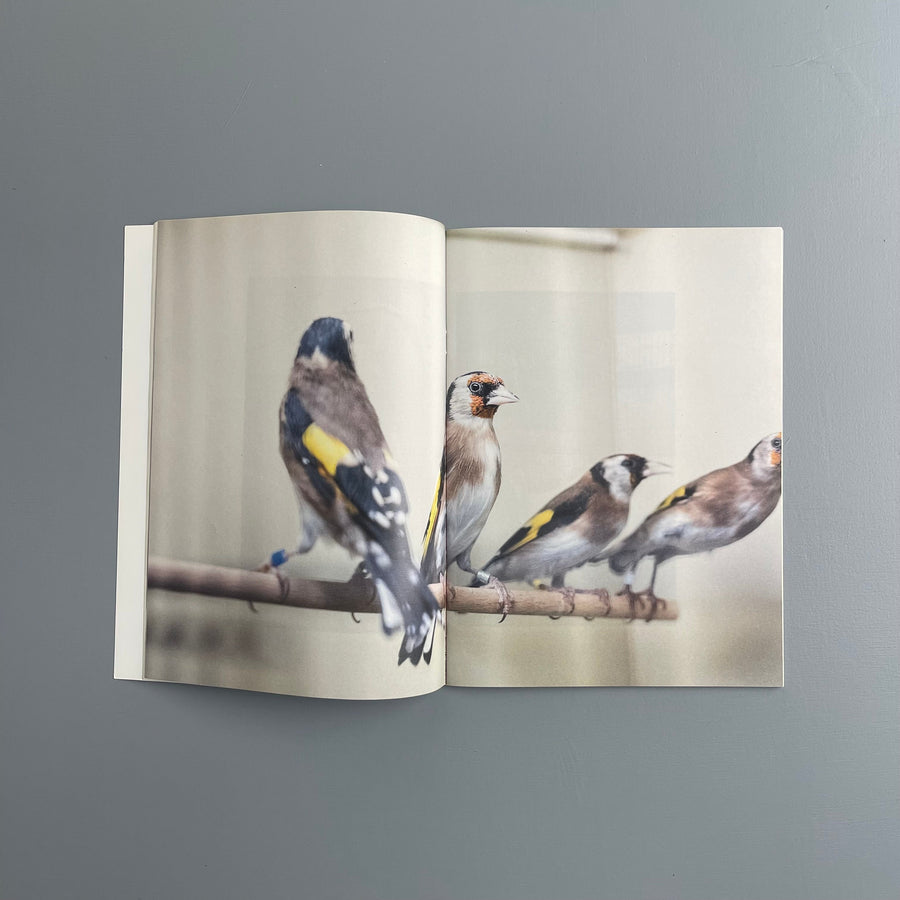 Carsten Höller - Birds - Purple Book 2017 - Saint-Martin Bookshop