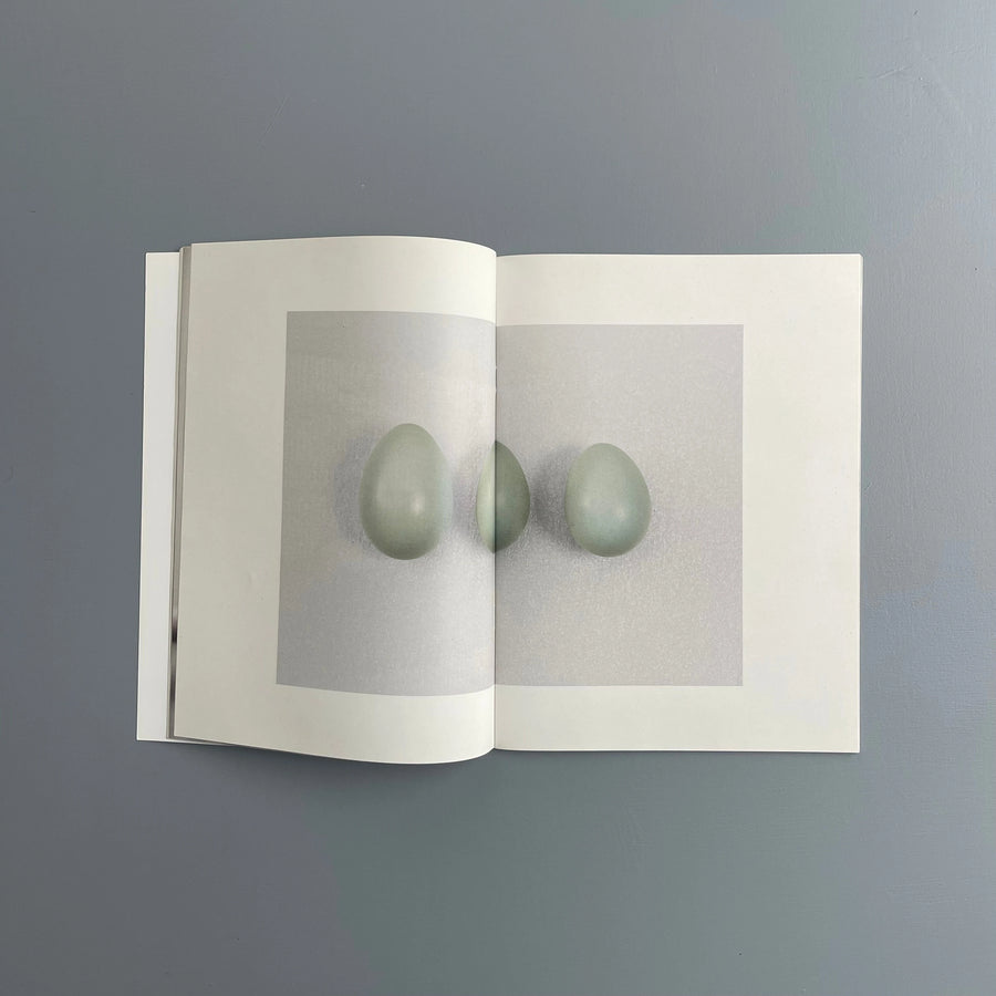 Carsten Höller - Birds - Purple Book 2017 - Saint-Martin Bookshop