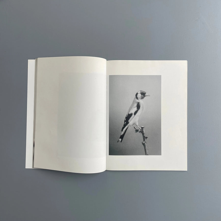 Carsten Höller - Birds - Purple Book 2017 - Saint-Martin Bookshop