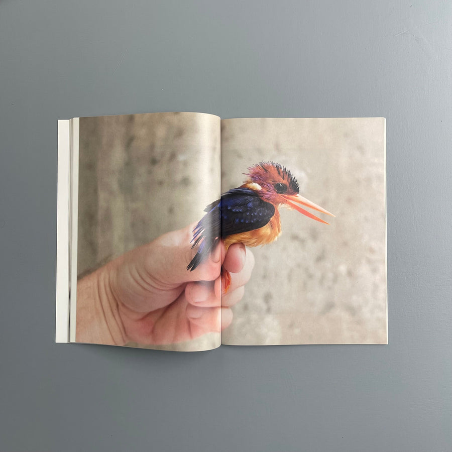 Carsten Höller - Birds - Purple Book 2017 - Saint-Martin Bookshop