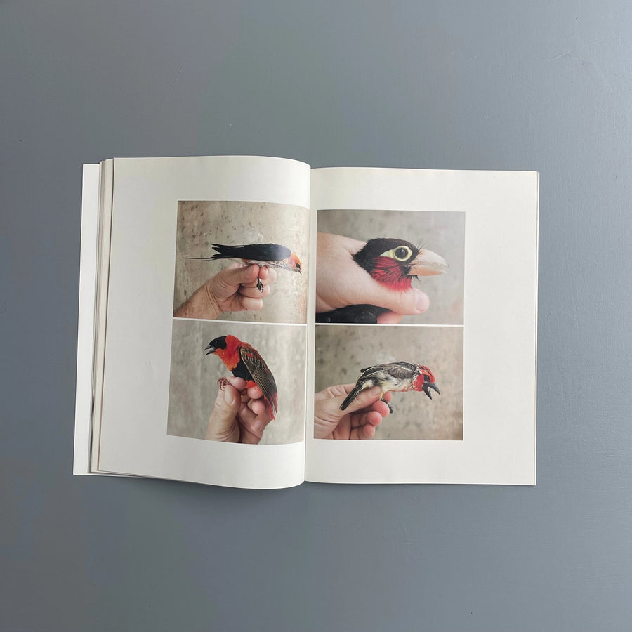 Carsten Höller - Birds - Purple Book 2017 - Saint-Martin Bookshop