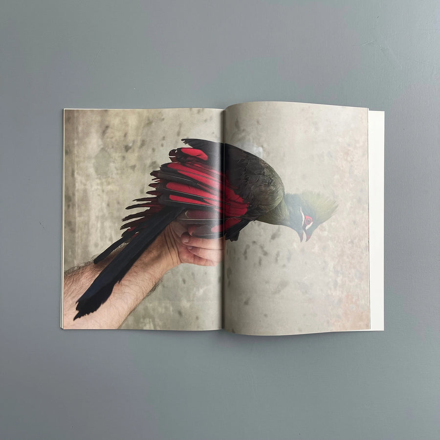 Carsten Höller - Birds - Purple Book 2017 - Saint-Martin Bookshop