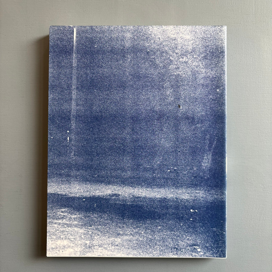 Christopher Wool - Absent Without Leave - DAAD 1993