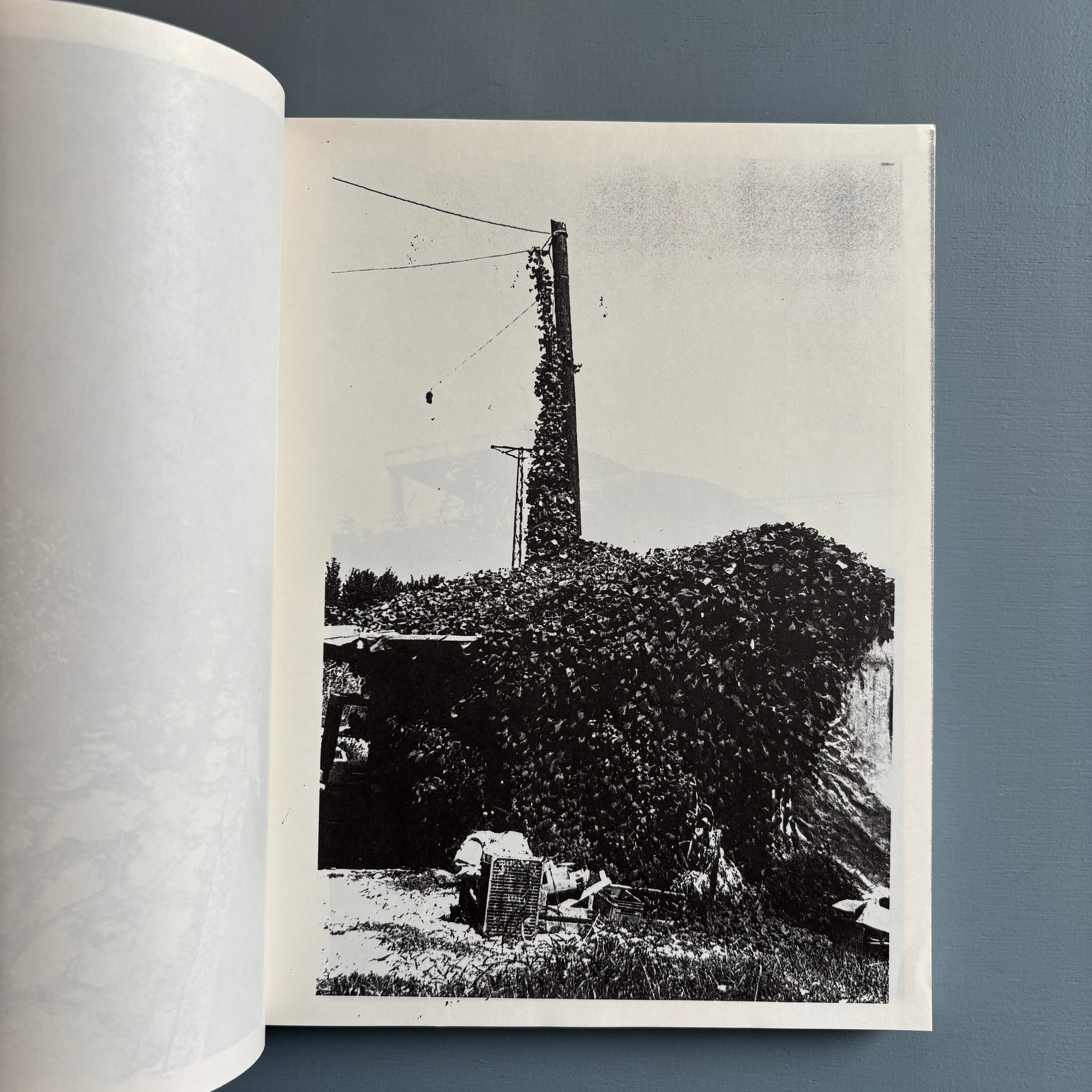 アート・デザイン・音楽 Absent Without Leave - Christopher Wool Christopher Wool - Absent Without Leave - DAAD 1993 - Saint-Martin