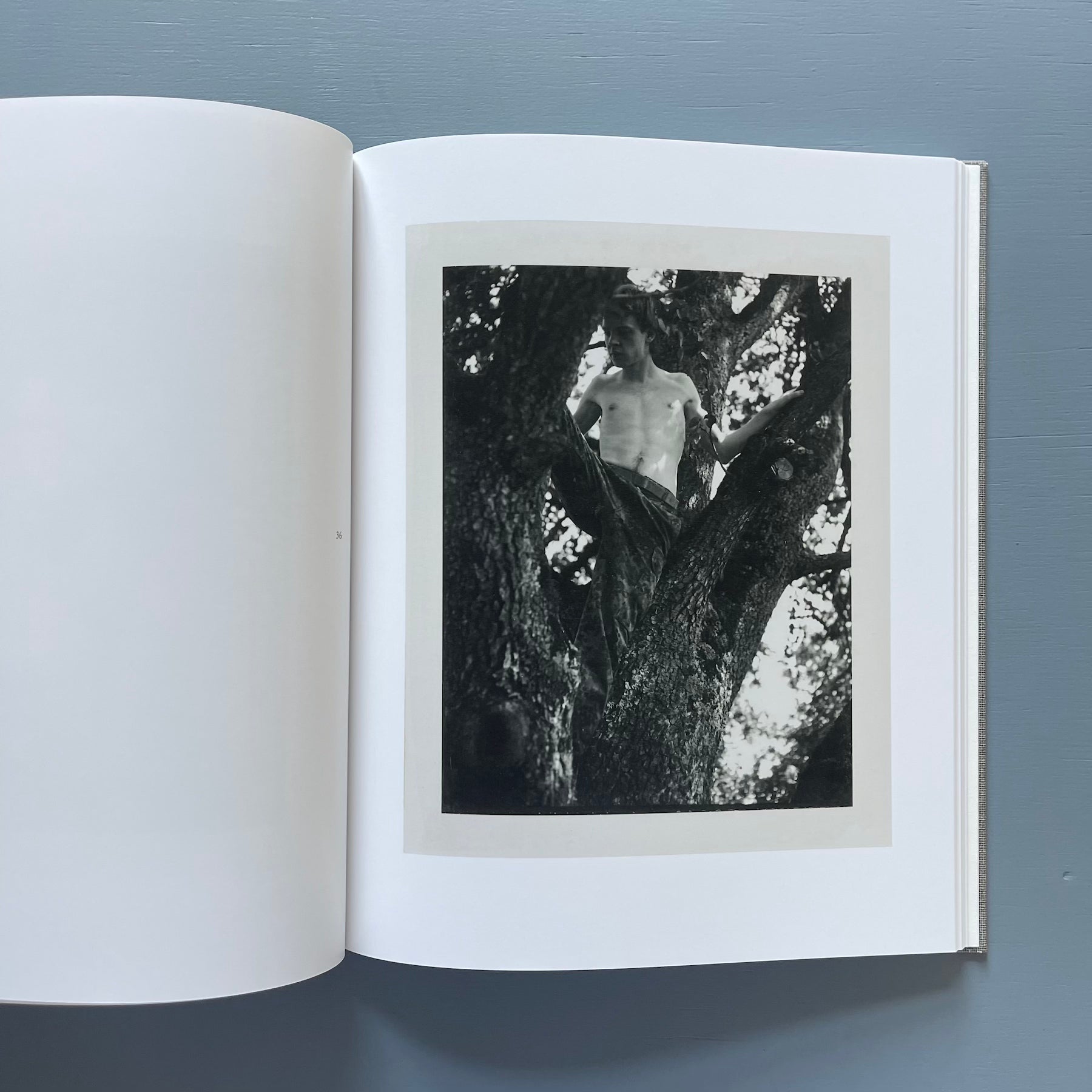 アート・デザイン・音楽 AUGUST COLLIER SCHORR August by Collier Schorr – soft lunch