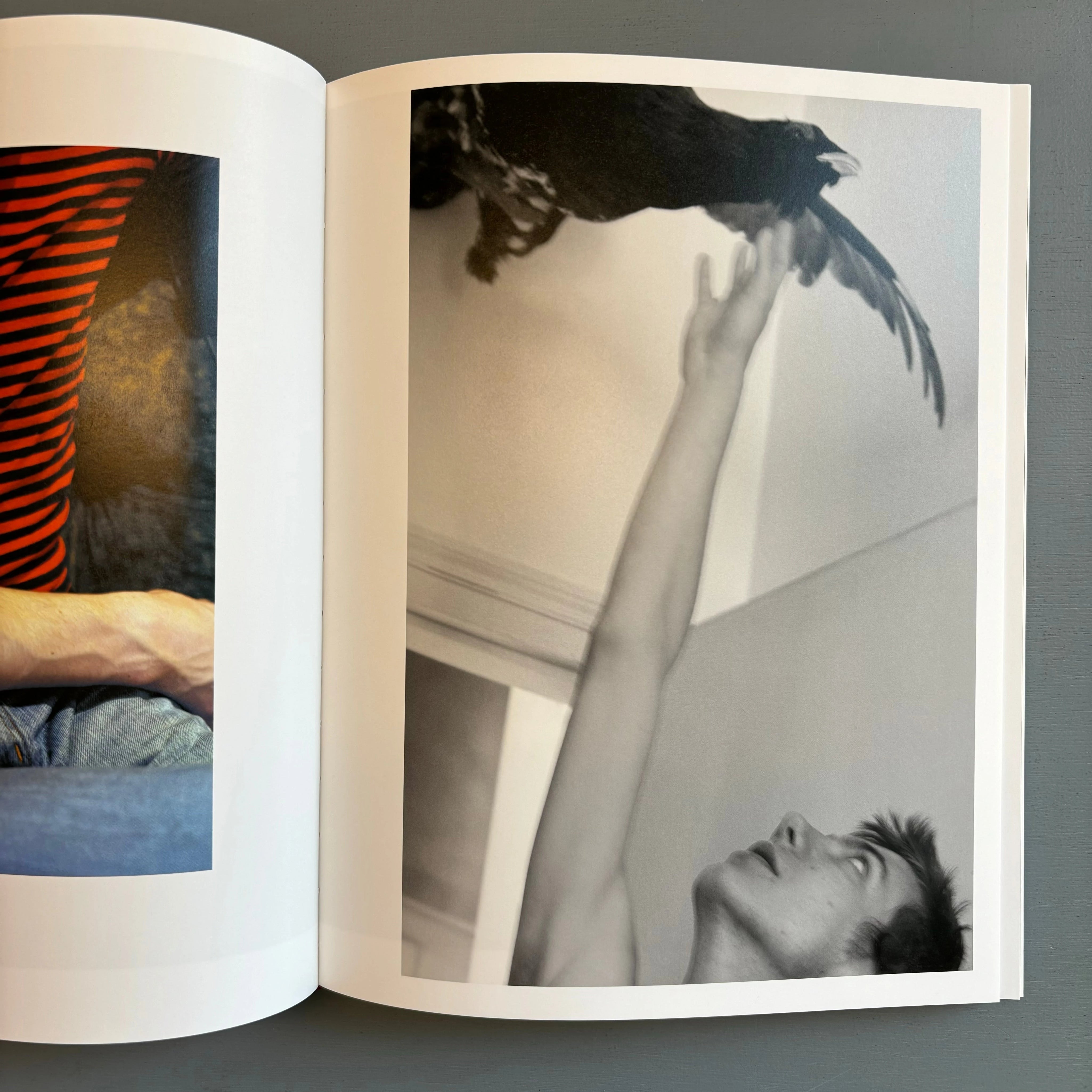 Collier Schorr - Paul's book - Mack 2019 - Saint-Martin Bookshop Collier Schorr - Paul's book - Mack 2019 - Saint-Martin Bookshop
