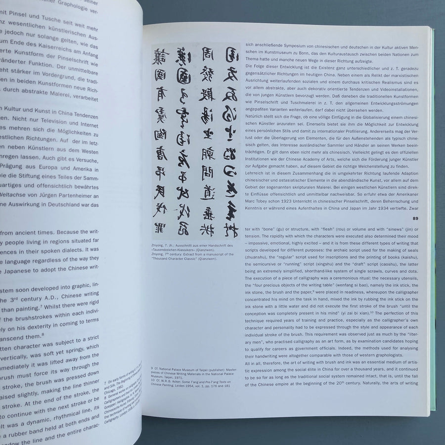 CrossMapping Partenheimer in China - Richter Verlag 2002 - Saint-Martin Bookshop