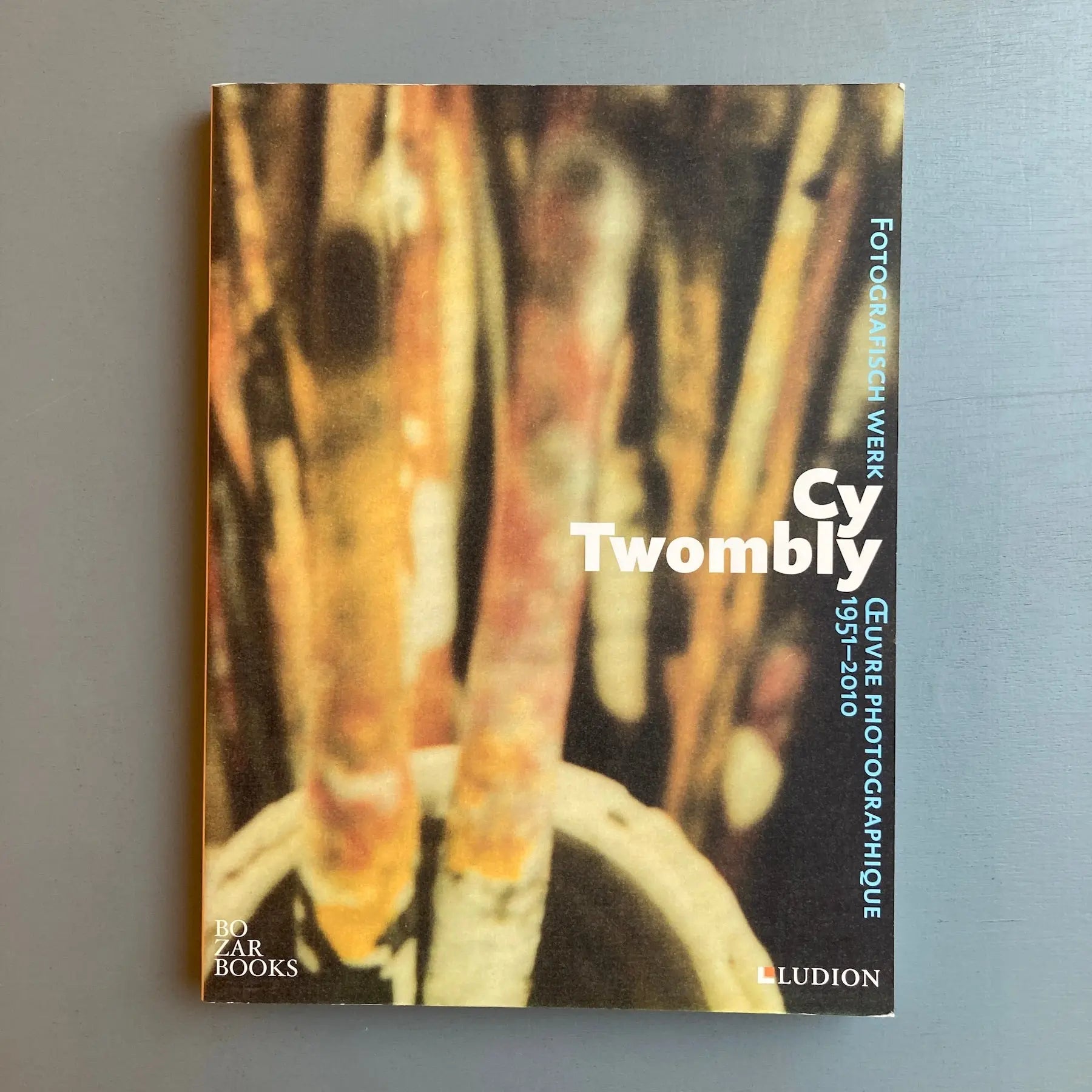 Cy Twombly - Oeuvres photographiques 1951-2010 - Ludion 2012