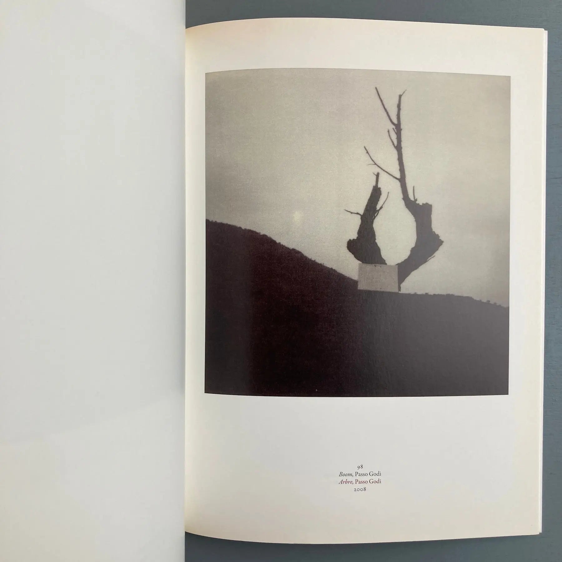 Cy Twombly - Oeuvres photographiques 1951-2010 - Ludion 2012