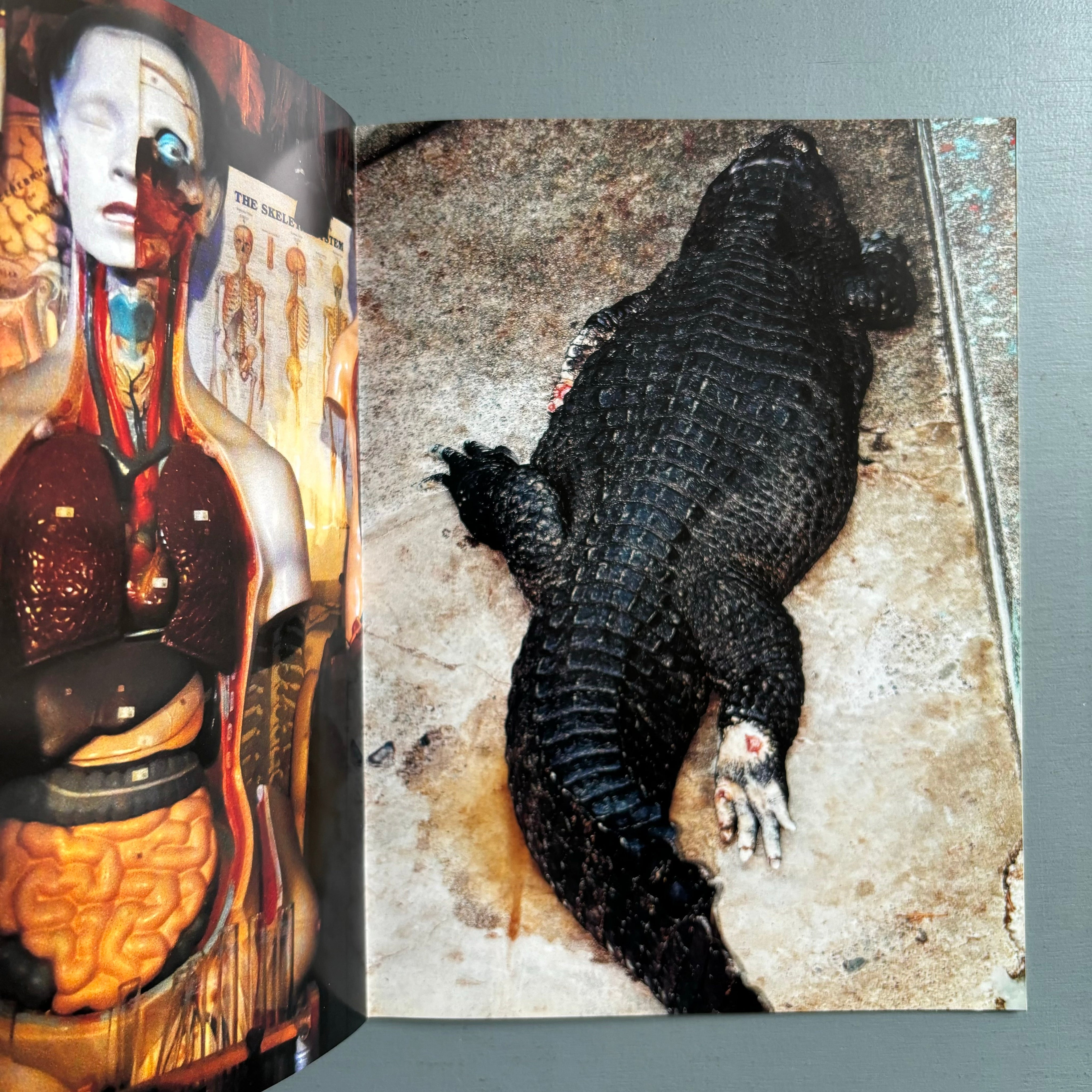 Daido Moriyama - Record No.20 - Akiko Nagasawa 2011 - Saint-Martin