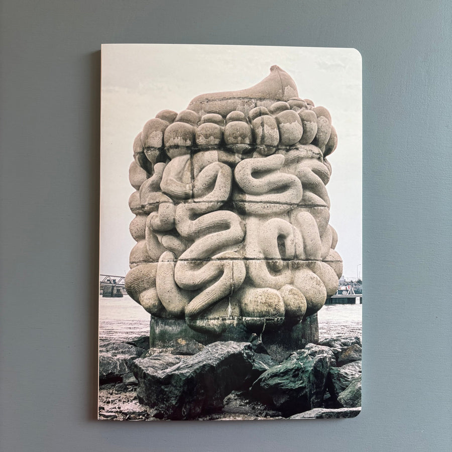 Daniel Dewar & Grégory Gicquel - Le pied, le pull-over et le système digestif - Triangle Books 2025 - Saint-Martin Bookshop