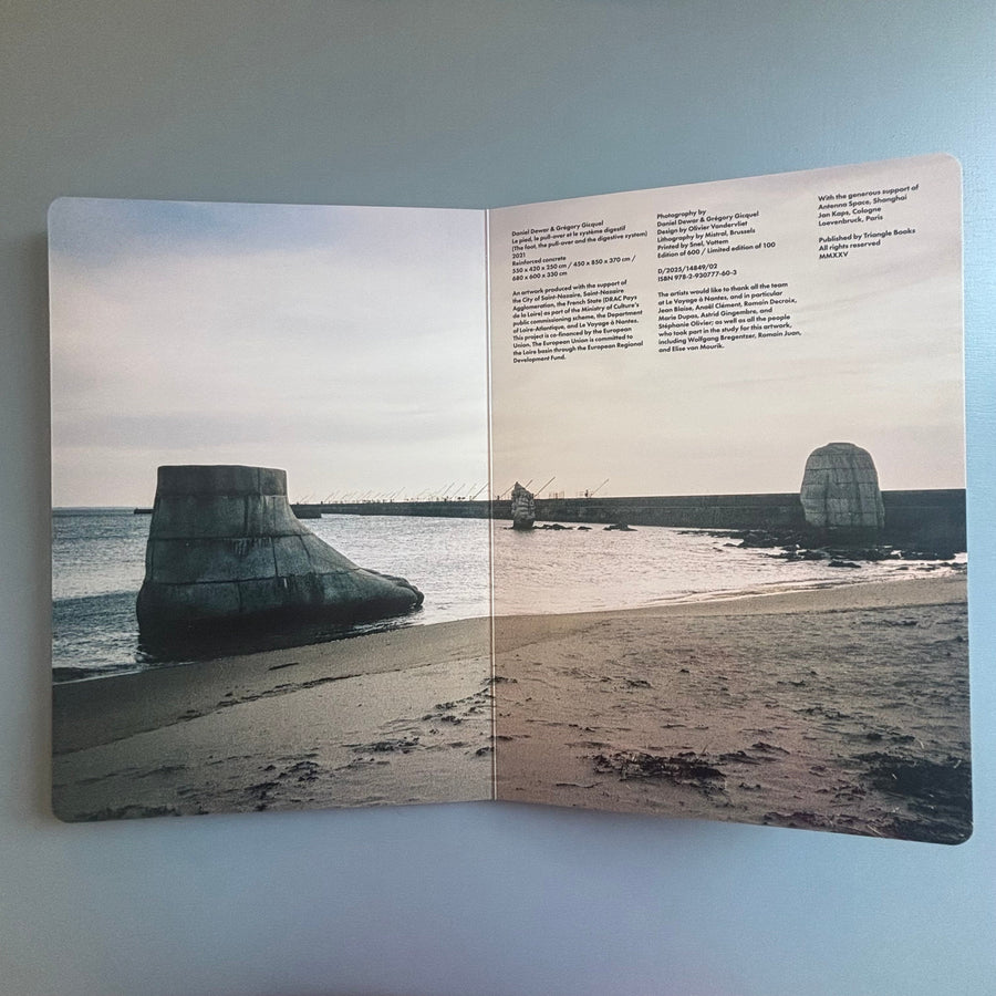 Daniel Dewar & Grégory Gicquel - Le pied, le pull-over et le système digestif - Triangle Books 2025 - Saint-Martin Bookshop