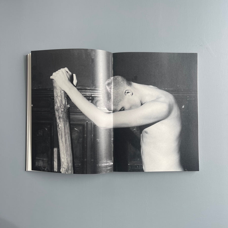 Daniel Sannwald - Pluto & Charon - Ludion 2010