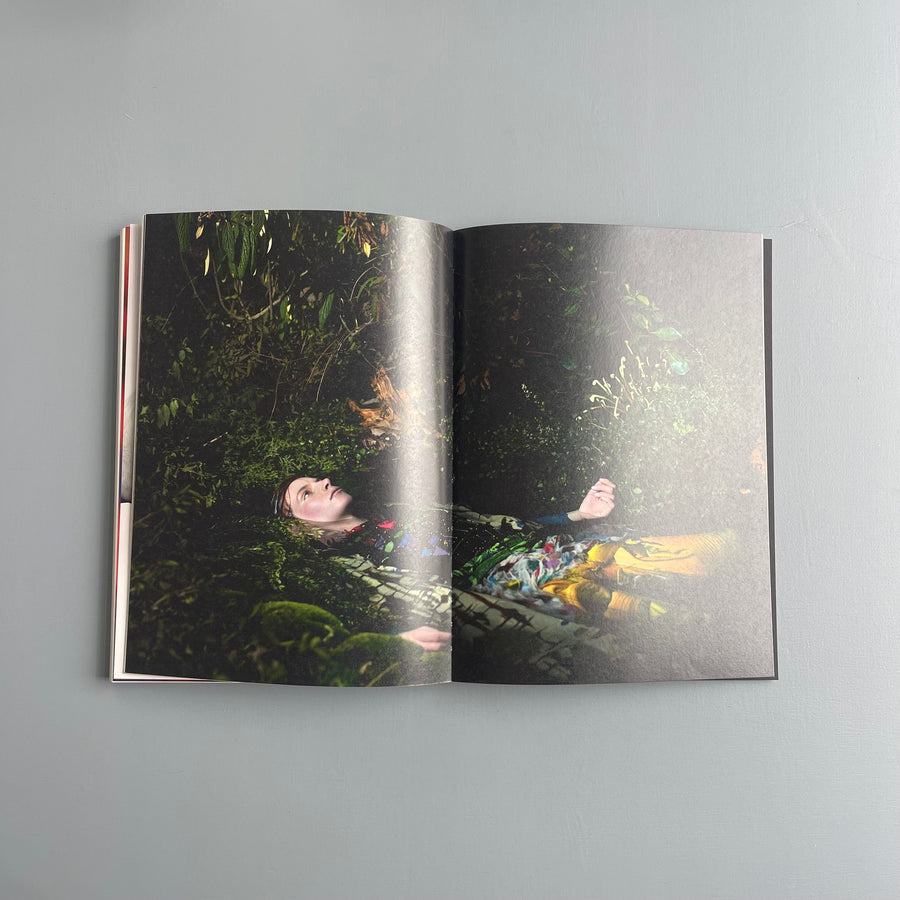 Daniel Sannwald - Pluto & Charon - Ludion 2010