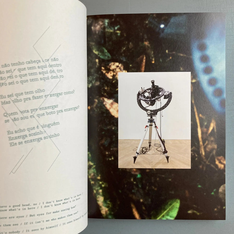 Daniel Steegman Mangrané - The Spiritual Forest - Mousse 2018 - Saint-Martin Bookshop