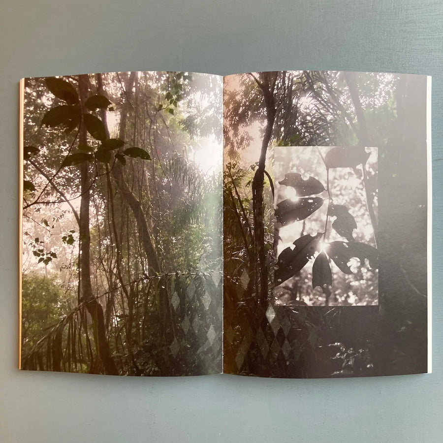 Daniel Steegman Mangrané - The Spiritual Forest - Mousse 2018 - Saint-Martin Bookshop