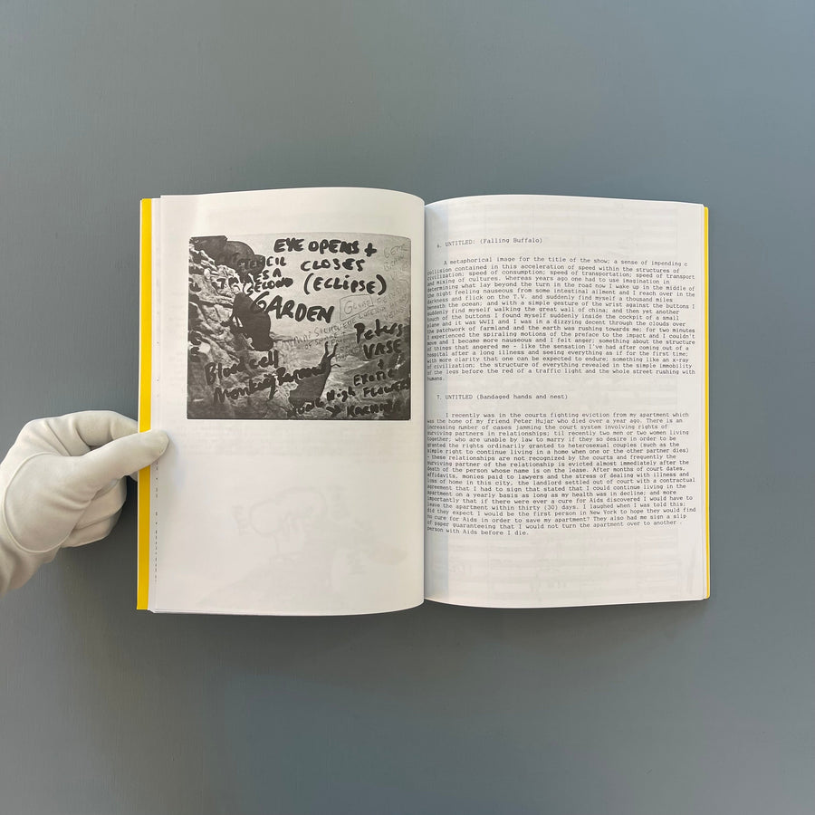 David Wojnarowicz - In the Shadow of Forward Motion - Primary Information 2020