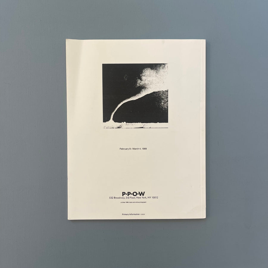 David Wojnarowicz - In the Shadow of Forward Motion - Primary Information 2020