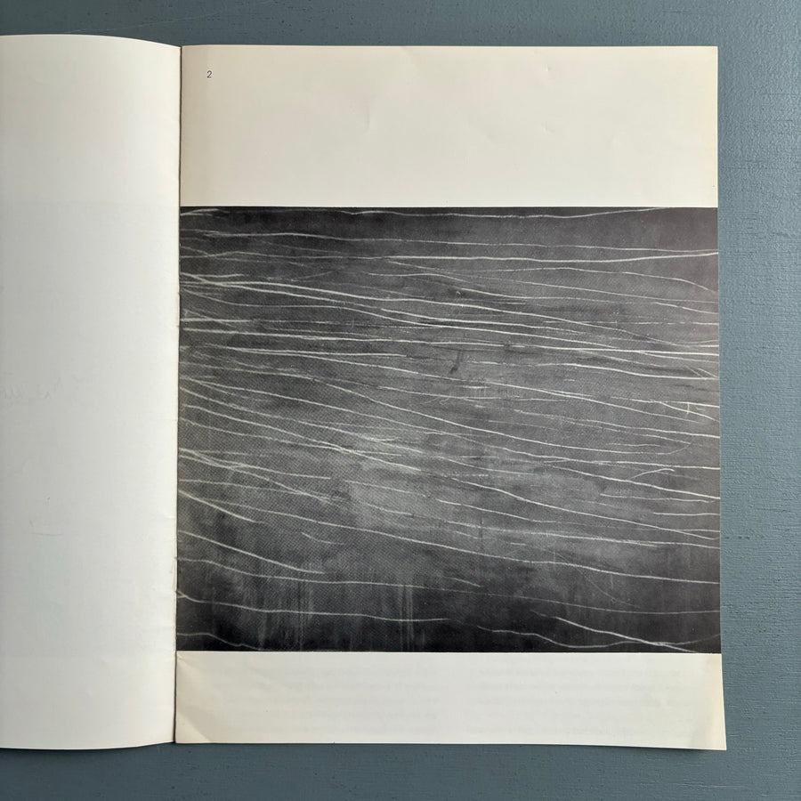 Cy Twombly - Grey Paintings - Galerie Art In Progress 1975 - Saint-Martin Bookshop