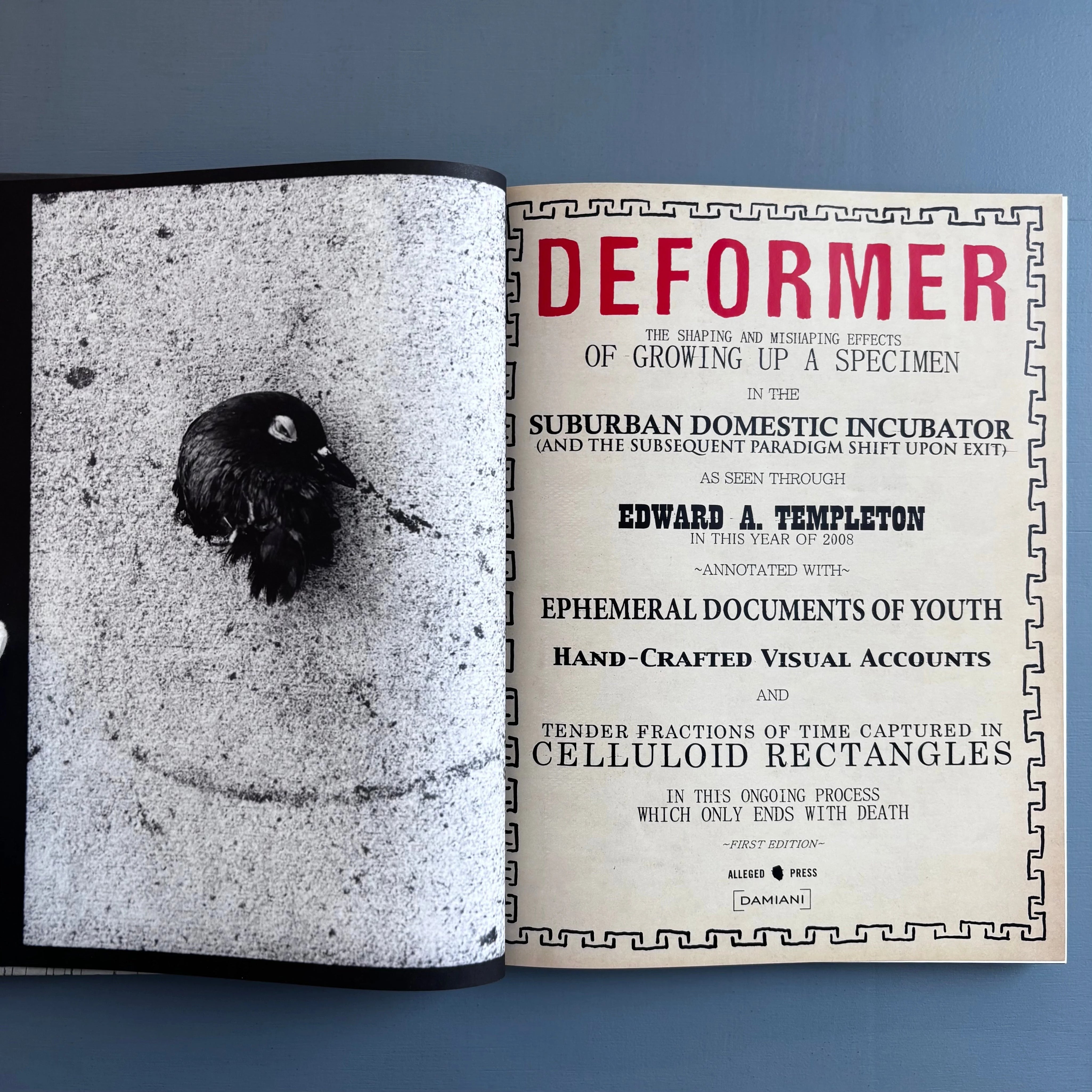 Ed Templeton - Deformer - Damiani 2008 - Saint-Martin Bookshop