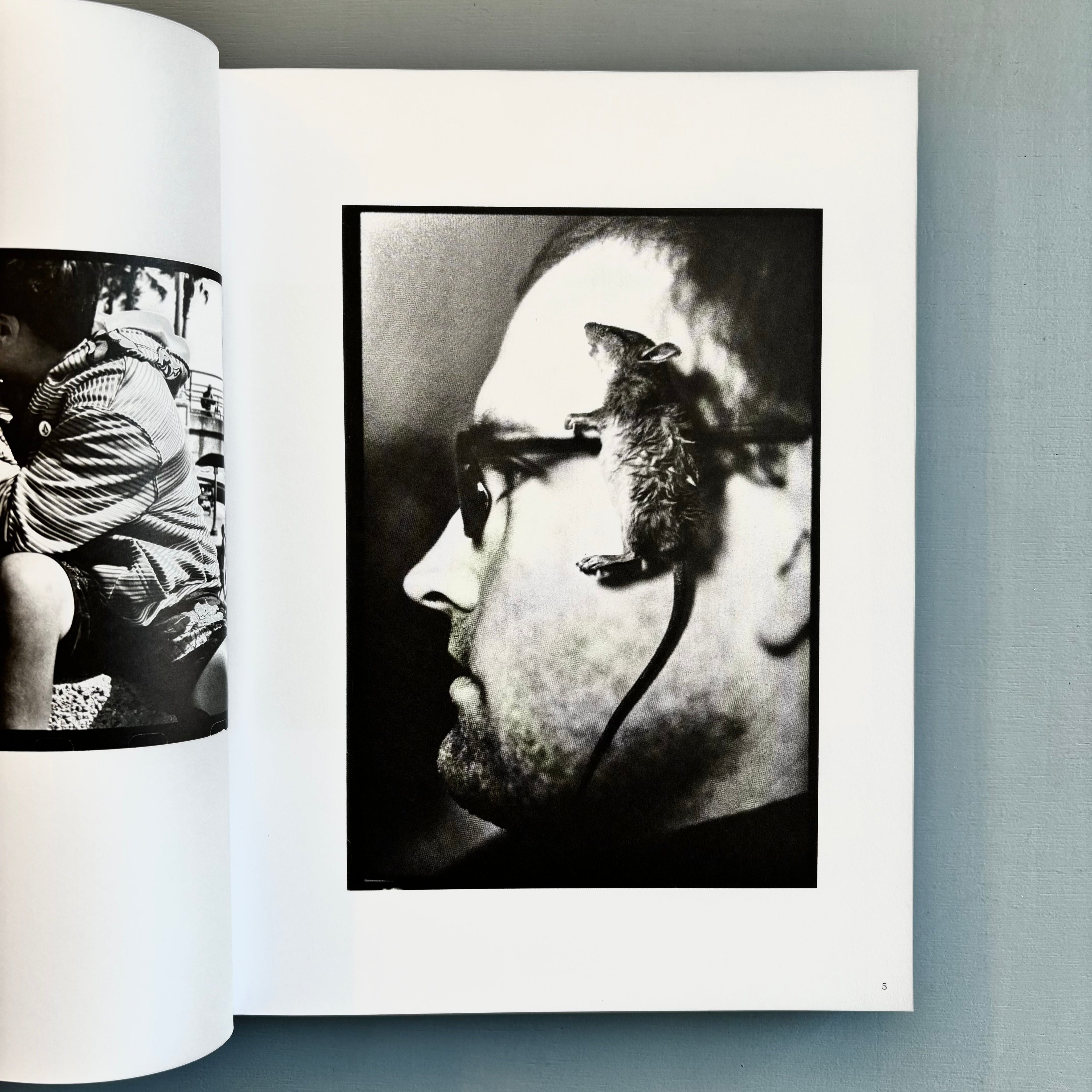 Ed-Templeton-Wayward-