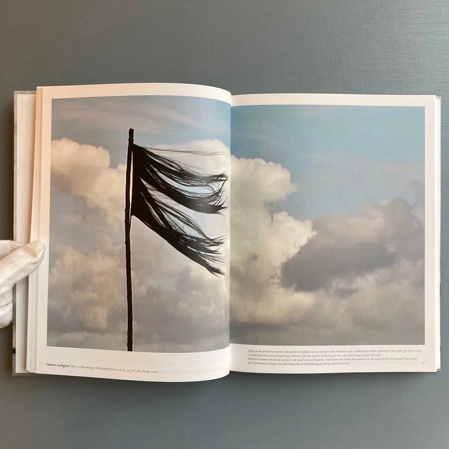 Edith Dekyndt (signed) - Ombre indigène - WIELS/Le Consortium Centre d'art 2016