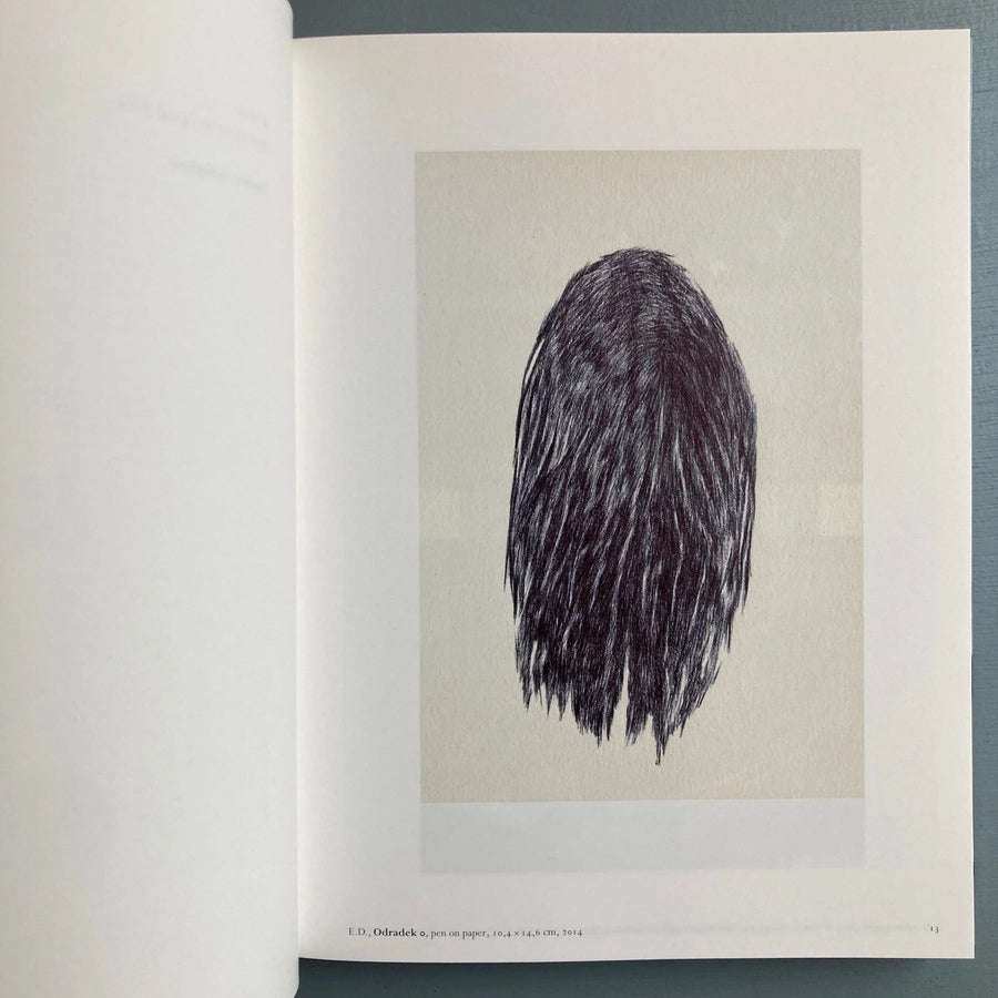 Edith Dekyndt (signed) - Ombre indigène - WIELS/Le Consortium Centre d'art 2016