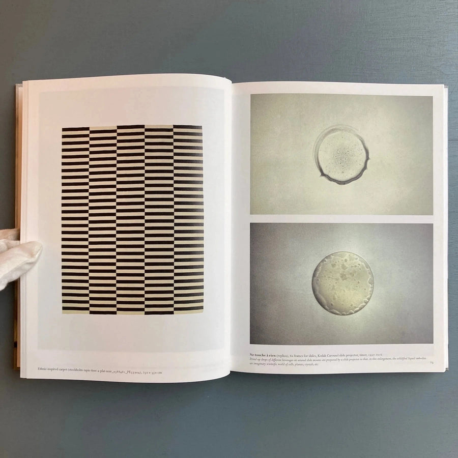 Edith Dekyndt (signed) - Ombre indigène - WIELS/Le Consortium Centre d'art 2016