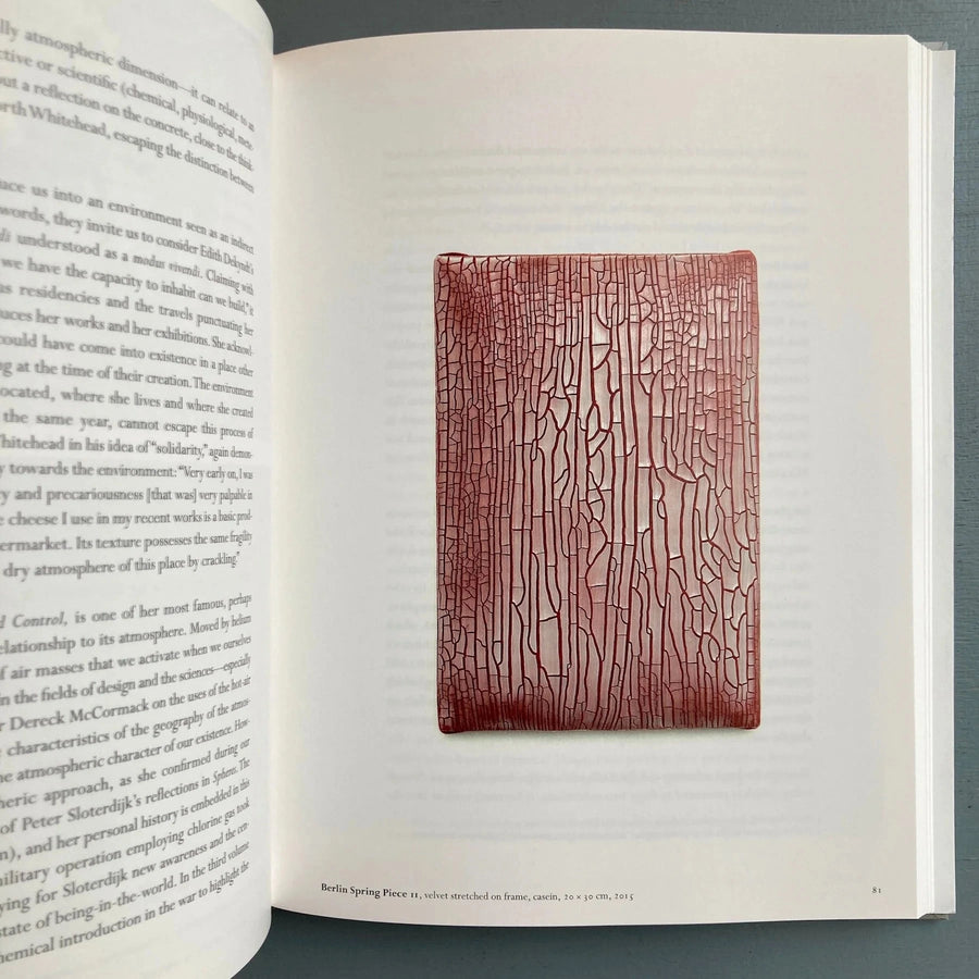 Edith Dekyndt (signed) - Ombre indigène - WIELS/Le Consortium Centre d'art 2016