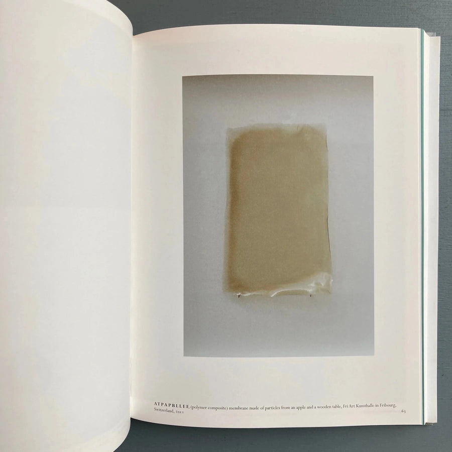 Edith Dekyndt (signed) - Ombre indigène - WIELS/Le Consortium Centre d'art 2016