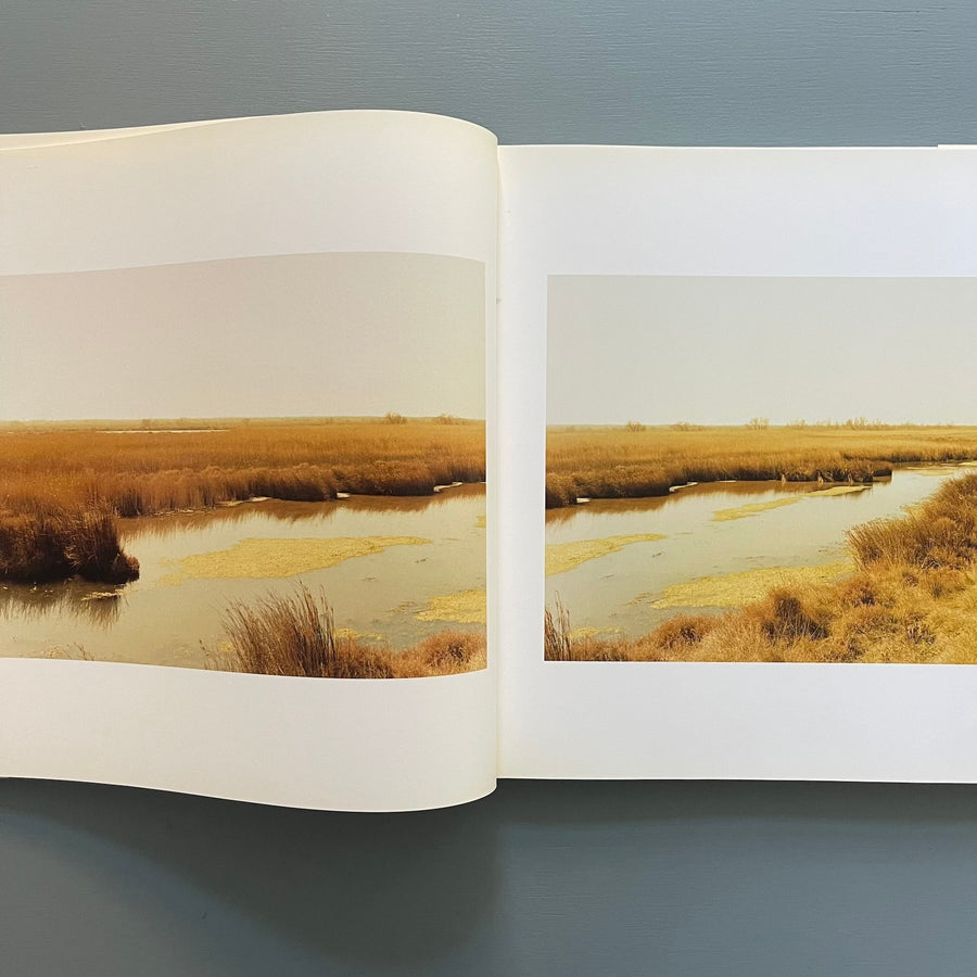 Elger Esser - Vedutas and Landscapes - Schirmer/Mosel 2000 - Saint-Martin Bookshop