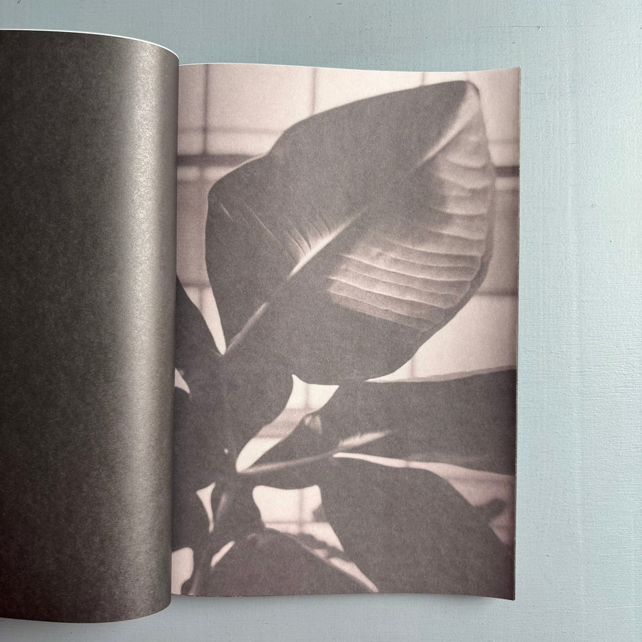 Elizabeth Alderliesten - Remember who you once were - Self-published 2024 - Saint-Martin Bookshop